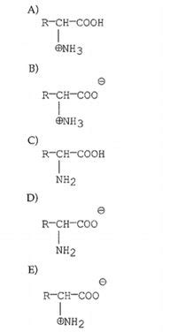 Answered A R CH COOH ONH3 B R CH COO ONH3 C Bartleby