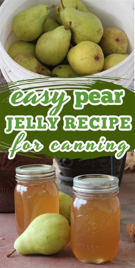 Canning Pear Jelly: A Sweet Treat to Preserve! | Pear jelly recipes ...