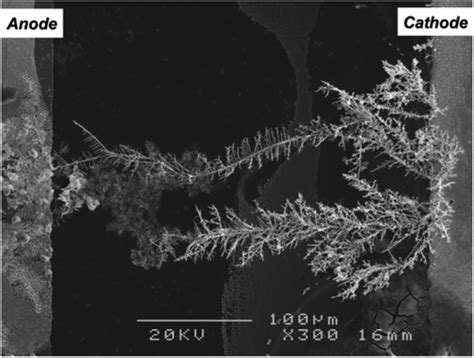 Electrochemical Migration Of Sn And Sn Solder Alloys A Review Rsc Advances Rsc Publishing