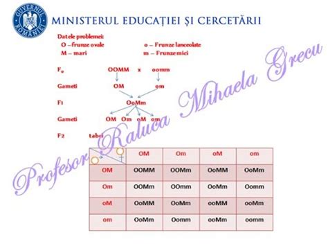 Ce Este Codominan A Cu Exemple Tiin