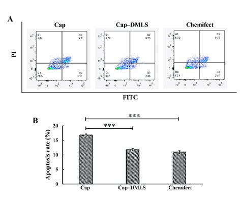 Apoptosis Of Pcv2 Cap And Cap Dmls In Pk15 Cells Was Analyzed By Flow