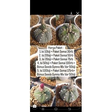 Jual Pesanan Seeds Astrophytum Asterias Mix Selected Shopee Indonesia