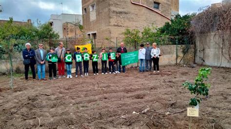 L IC Lombardo Radice Pappalardo Festeggia Gli Alberi E La Bellezza