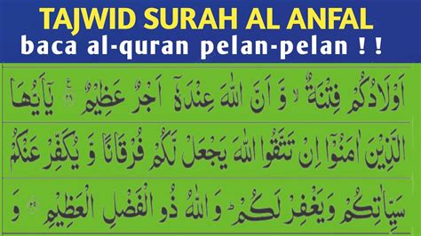 Tajwid Surah Al Anfal Ayat Belajar Mengaji Quran Pelan Pelan Youtube