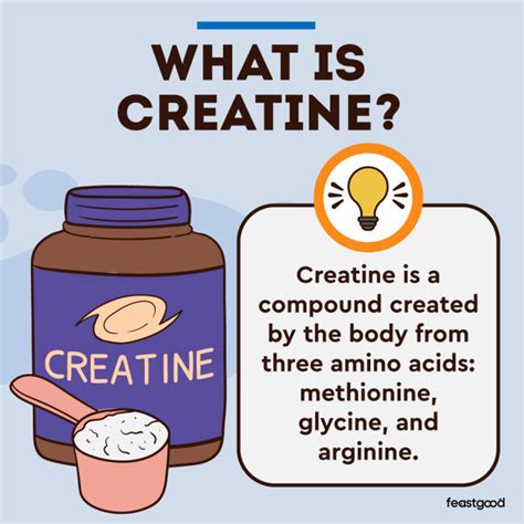 Creatine vs Beta Alanine: Do You Need Both? 4 Differences - FeastGood.com