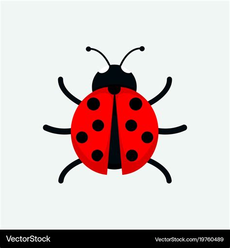 Ladybug Drawing Ideas