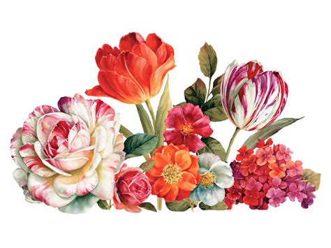 Flowers Transparent PNG Image - Freepngdesign.com