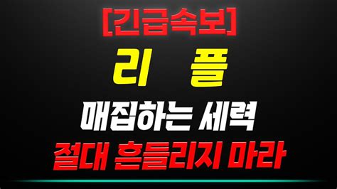 긴급속보 리플 매집하는 세력 절대 흔들리지 마라 리플 리플전망 Youtube