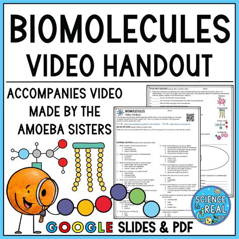 Biomolecules Amoeba Sisters Video Handout Science Is Real Education