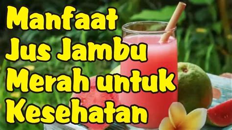 Manfaat Jus Jambu Merah Untuk Kesehatan Youtube