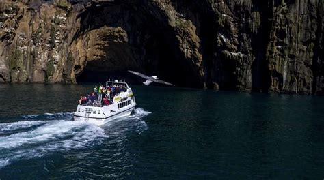 Vestmannaeyjar Boat Tour Westman Islands Elephant Rock