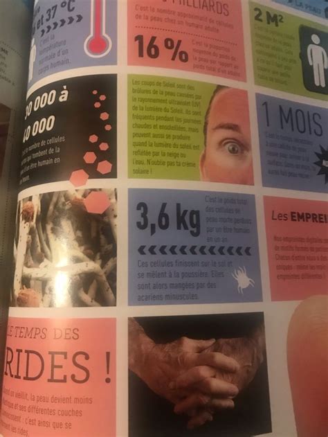 Livre Tout Comprendre Sur Le Corps Humain Piccolia Beebs