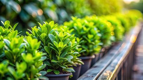 A Row Of Potted Plants With A Row Of Pots With Plants Premium Ai