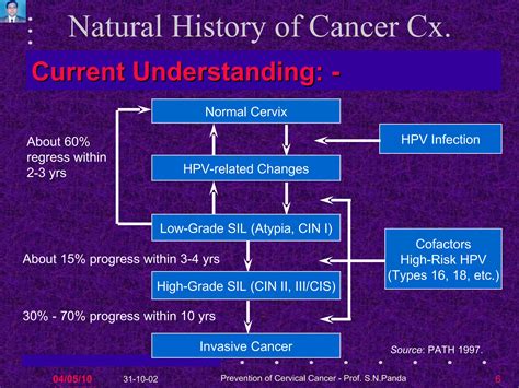 Understanding Cervical Progress: The Meaning Of 3 Cm Dilated And 80% Effaced 2