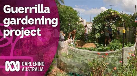 A Guerrilla Gardening Group Growing Produce During The Pandemic