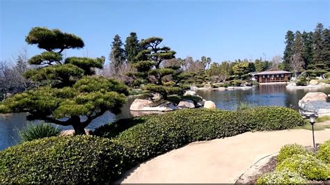 Tour Of A Japanese Garden In La Using Wastewater From Donald C Tillman