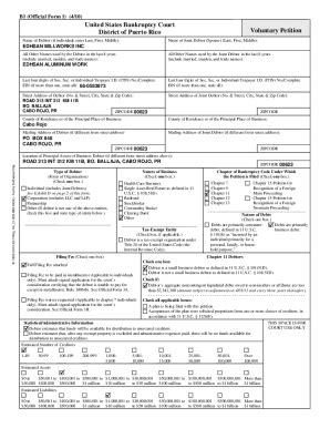 Fillable Online Voluntary Petition B 1 Official Form 1 4 10 Fax