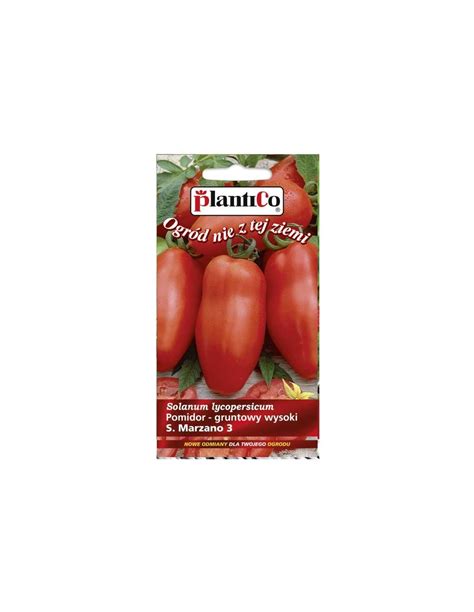 Pomidor Gruntowy Wysoki San Marzano G