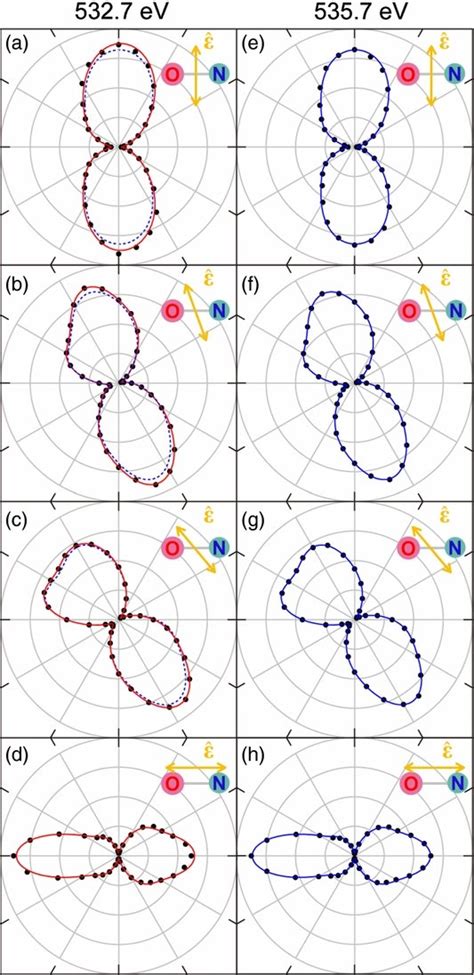 Polar Plots Of The N 1s Photoelectron Angular Distribution From