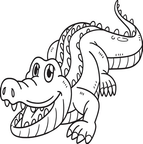 Crocodile Animal Isolated Coloring Page For Kids 10993624 Vector Art At