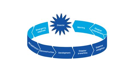 Pprr And Aiims A Whole Of Government Strategy In Nsw Ajem Research