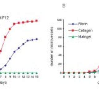 Microvascular Growth Curves Of Aortic Rings A Growth Curve Of Aortic