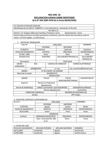 Declaracio Jura De Nepotismo PDF