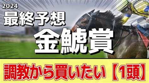 【金鯱賞2024】追い切りから買いたい1頭！ドゥレッツァ、プログノーシスも人気だが本命はあの馬に！ Youtube