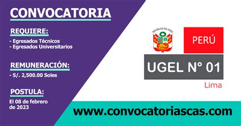 Convocatoria Ugel Cas Plazas Administraci N Bibliotecolog A