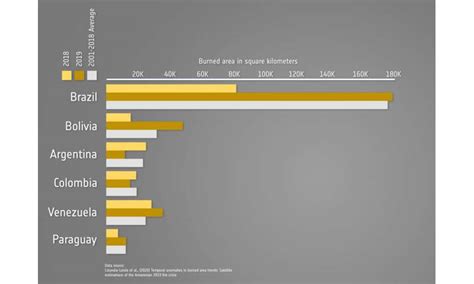 Burned Area Trends In The Amazon Similar To Previous Years