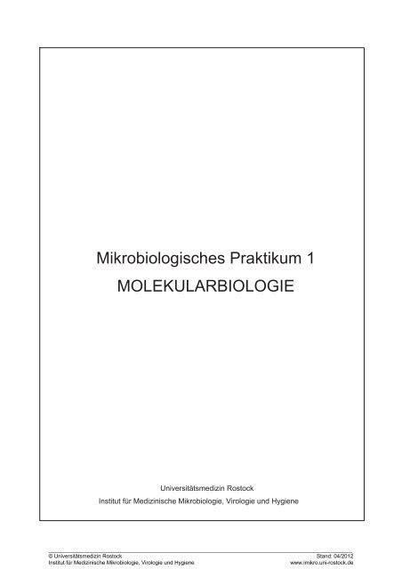 Skript Mikrobiologie 1 Molekularbiologie imikro Universität