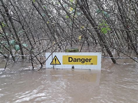 Effects Of Flooding How Floods Can Devastate Wildlife