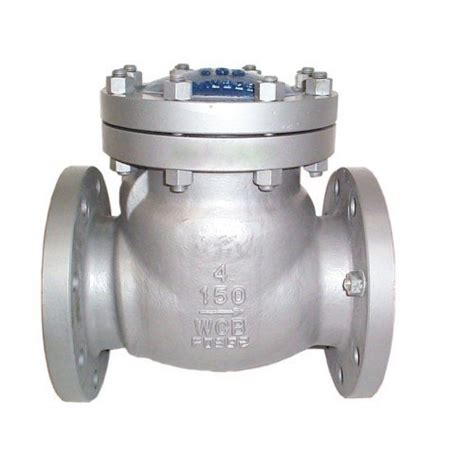 Blue Cast Iron Normex Make Check Valve Ball Type At Rs 850 Piece In