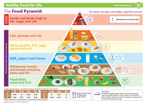 Food Pyramid Servings Sizes