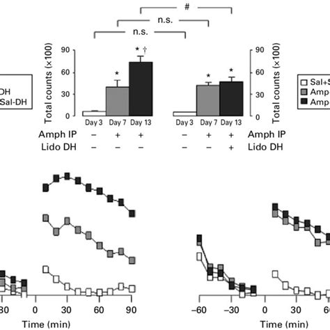 Effect Of Lidocaine Infusion In The Dorsal Hippocampus DH On The