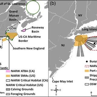 Map A Illustrates North Atlantic Right Whale Narw Habitats In