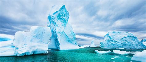 Travel To Antarctica Next Winter With Cwrus Vice Provost Of