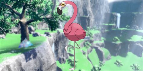 Silliest Looking Pokemon In The Franchise