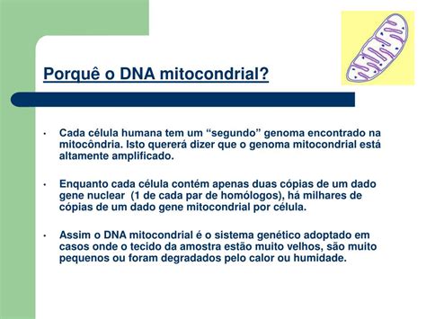 Ppt Dna Mitocondrial Na Antropologia Powerpoint Presentation Free