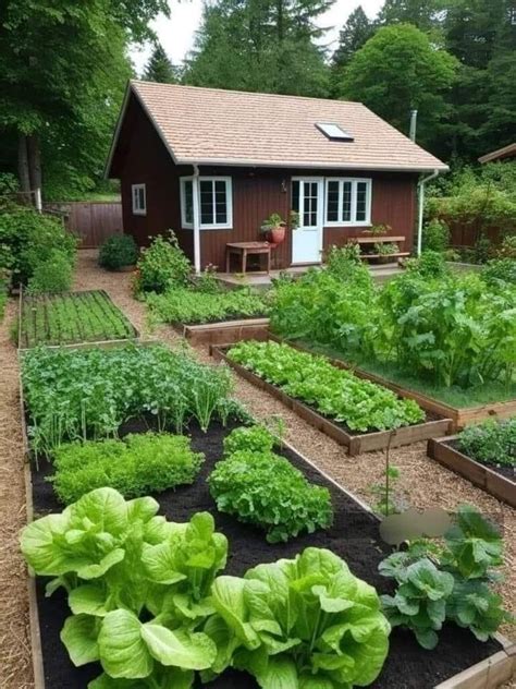 Pin By Mark Leen On Agriculture In Backyard Garden Layout