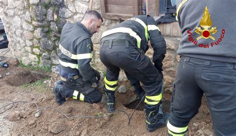 Gatto Incastrato In Una Tubatura Di Metri Salvato Dai Vigili Del