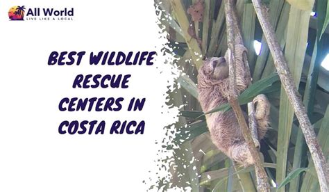 Best 8 Wildlife Rescue Centers In Costa Rica (Honest Review) - AllWorld.com