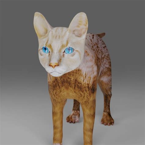 Modelo 3d Gato Blanco NO Aparejado En Licuadora TurboSquid 1984547