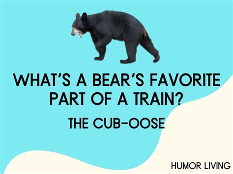 101+ Hilarious Bear Jokes for a Grizzly Laugh - Humor Living