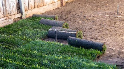 How To Sod A Yard With Existing Grass Storables