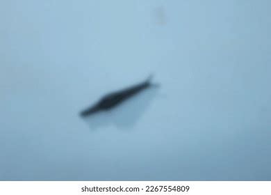 Hundred Naked Homeless Royalty Free Images Stock Photos Pictures Shutterstock