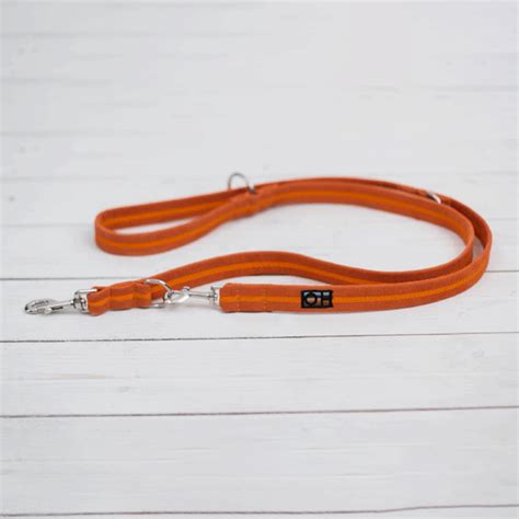 About Our Orange Dog Collars | Blog | Oscar & Hooch