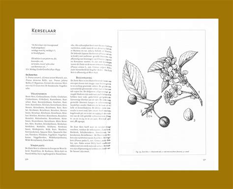 Compendium Van Rituele Planten In Europa Copyright Bookshop