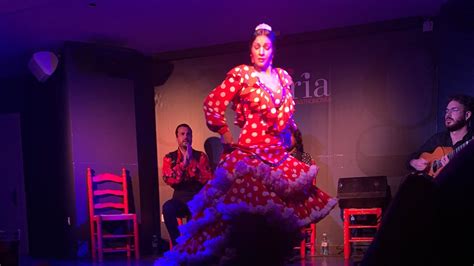 Flamenco show at the Tablao Flamenco Alegría in Malaga Spain