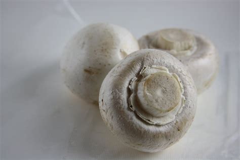 Free White Button Mushrooms Stock Photo - FreeImages.com